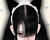 NNN.Kuro Lea