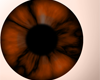 Orange Insctinct eye (M)