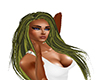 brown & blond highlights