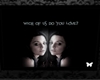 Picture Amy Lee