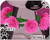 [Pets] Nia | rose collar