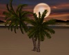 LS Moon Lite Palm Tree