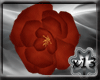 x13 Roses: Gemini  R