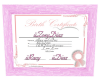 Zoeys' Birth Certificate