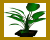 GR Plant
