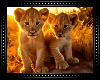 🦁 Lion Cubs BG