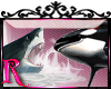 *R* Shark & Whale ENH