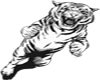 (KD) white tiger