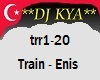 trr1-20 Train by Enis