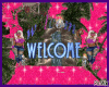 welcome and portrait