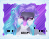 ꨄStacy Hairꨄ