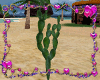 Cactus Natural