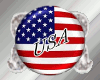 (RO) USA Sticker shine
