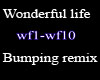 (bud)wonderfullife remix