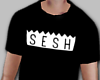 teamsesh 2