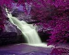 lavender waterfall pic