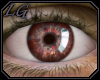 [LG] Eyes Hunger