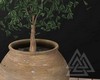◮ Potted Tree