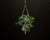 ~SL~ RSE Hanging Plant