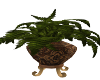 FT Potted Plant/Vase