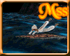 (MSS) Magic Carpet