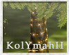 KYH | TreeHouse tree