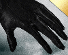✶ArchDuke Gloves