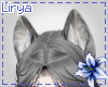 Gray Wolf Ears