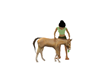 pony w carrot