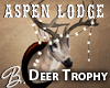 *B* Deer Trophy