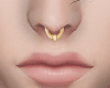 유Septum Gold유