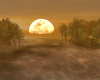 AUTUMN MOON Photo Room