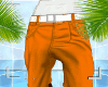 Orange Shorts