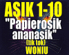 Papiersik ananasik/RMX..