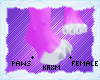 ꨄStacy Pawsꨄ