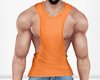 Fitness Shirt v2