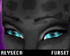 A! Ocellus brows