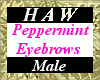 Peppermint Eyebrows - M