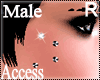 A. Titanium Cheekbone R