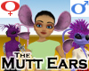 Mutt Ears -v2