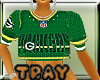 QT GreenBay Mini Jersey