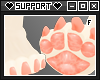 S | Perle Paws v2