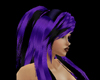 Purple Black Violette V1
