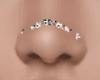 Q* crystal nose