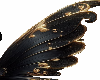 black and gold wings