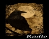 Black Raven Radio