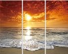 High Tide Sunset Tri Pic