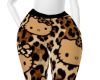 HK cheetah (LLXL)