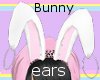 Pierced Bunny Ears