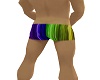Zak Rainbow Shorts